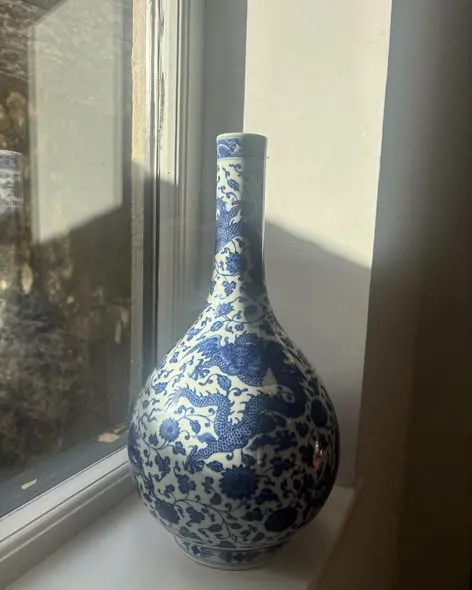Nậm rồng xanh trắng, cao 40cm